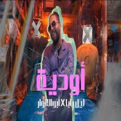 كلمات اغنية اوديه - ابو الانوار