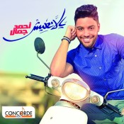 كلمات اغنية ياللي شمس الدنيا تطلع - احمد جمال