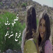 كلمات اغنية قلبي رف حواليكي - فرح شريم