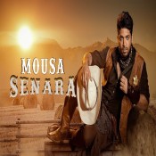كلمات اغنية صنارة - موسي