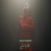 كلمات اغنية عشرة سنين - داليا مبارك