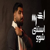 كلمات اغنية استنى شوي - الأخرس