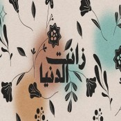 كلمات اغنية زانت الدنيا - شيمي