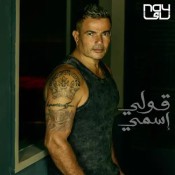 كلمات اغنية قولي إسمي