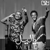 كلمات اغنية يا ليل
