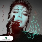 كلمات اغنية العجب في الهوى