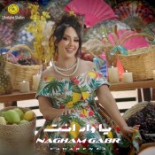 كلمات اغنية يا واد انت - نغم جبر