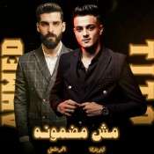 كلمات اغنية مش مضمونه - تيتو واحمد مشعل