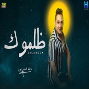 كلمات اغنية ظلموك - رضا البحراوي