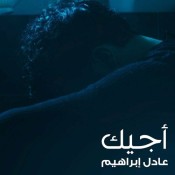 كلمات اغنية اجيك - عادل ابراهيم