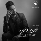 كلمات اغنية فين ذنبي - احمد خالد