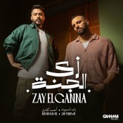 كلمات اغنية زي الجنة - احمد كامل وزاب ثروت