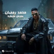 كلمات اغنية مفيش طبطبة
