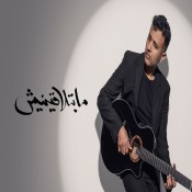 كلمات اغنية ما بتلاقينيش - حمزة نمرة
