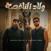 كلمات مهرجان ولاد الناقصه - ريشا كوستا وسماره ناو