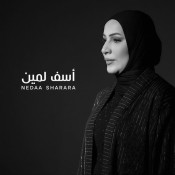 كلمات اغنية أسف لمين - نداء شراره