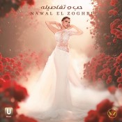 كلمات اغنية حب وتفاصيله - نوال الزغبي