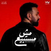 كلمات اغنية مش مستبيع - كريم محسن