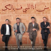 كلمات اغنية مش انا اللى ف بالك - حمادة الليثى