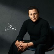 كلمات اغنية يا فؤش - محمد فؤاد