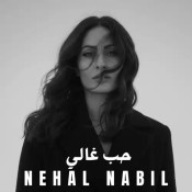 كلمات اغنية حب غالي - نهال نبيل