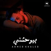 كلمات اغنية بيوحشني - احمد خالد