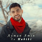 كلمات اغنية يا حبيبي