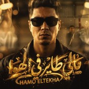 كلمات مهرجان يالى طاير فى الهوا