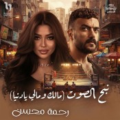 كلمات اغنية مالك ومالي يا دنيا - من مسلسل علي كلاي