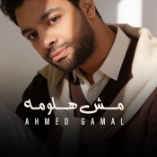 كلمات اغنية مش هلومه - احمد جمال