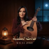 كلمات اغنية طالت الكذبة - ولاء الجندي