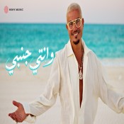 كلمات اغنية وإنتي جنبي - عمرو دياب