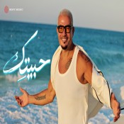 كلمات اغنية حبيتِك - عمرو دياب